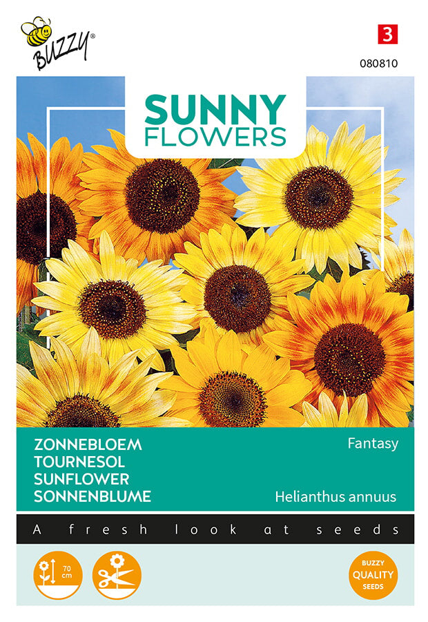 Buzzy Seeds Sonnenblume  Fantasy