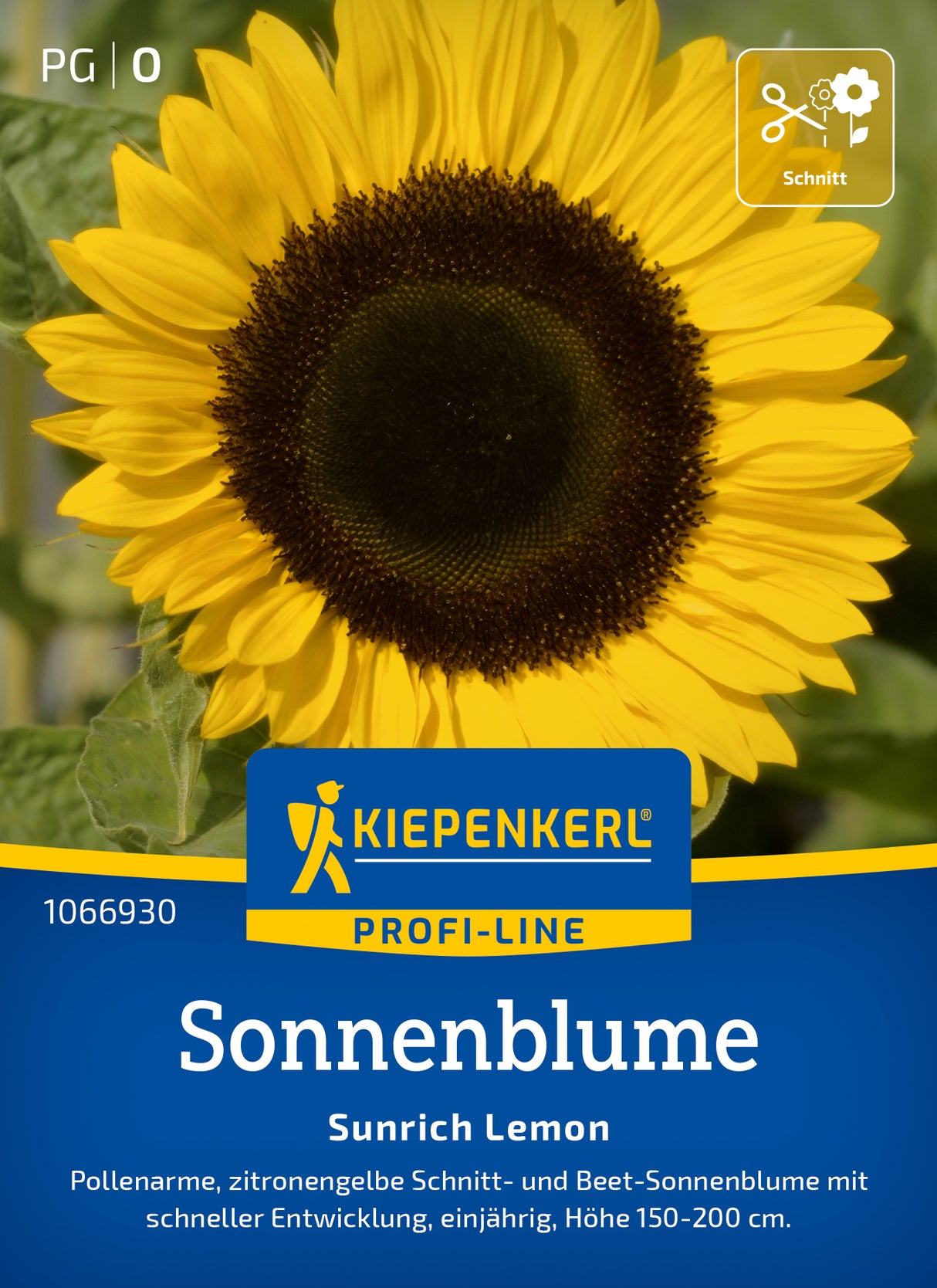 Kiepenkerl Sonnenblumen Sunrich Lemon