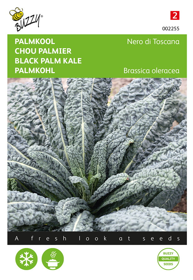 Buzzy Seeds Palmkohl Nero di Toscana