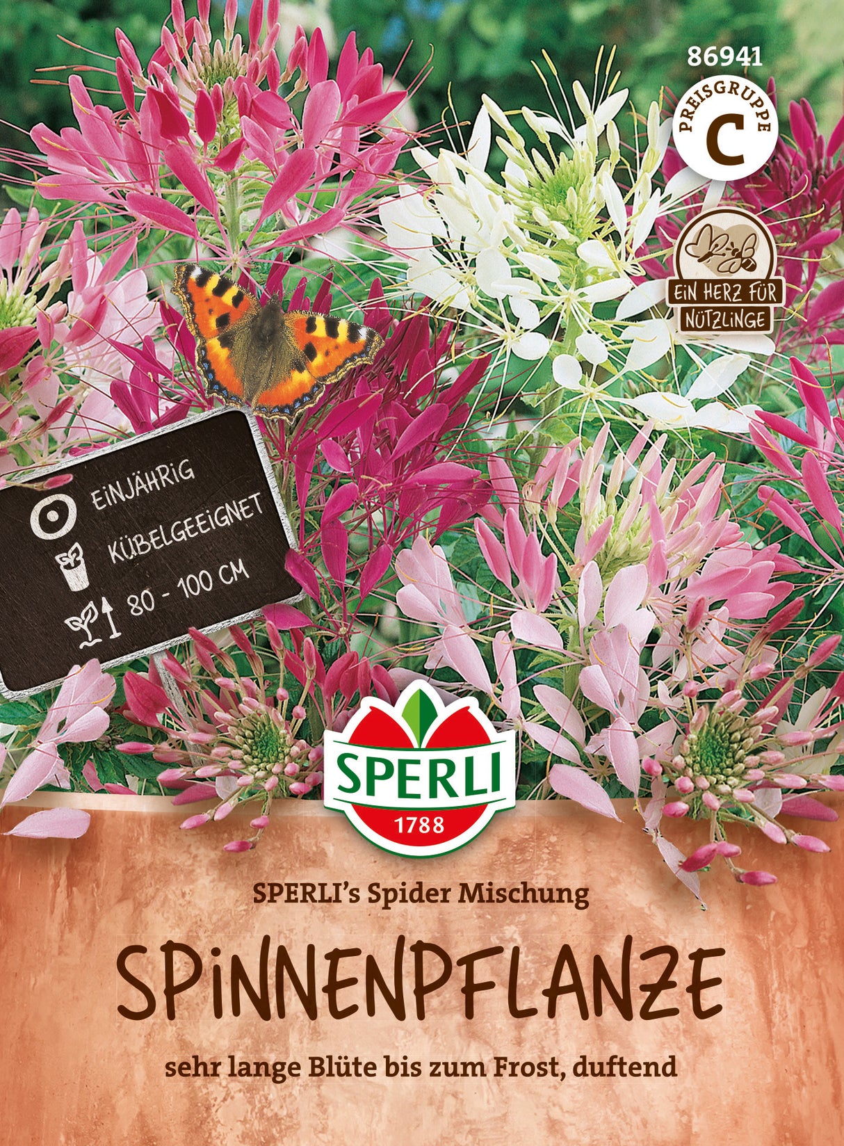 SPERLI Spinnenpflanze SPERLI's Spider Mischung