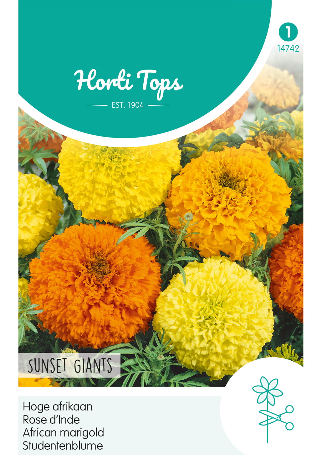 Horti Tops Aufrechte Studentenblume Sunset Giants Mischung