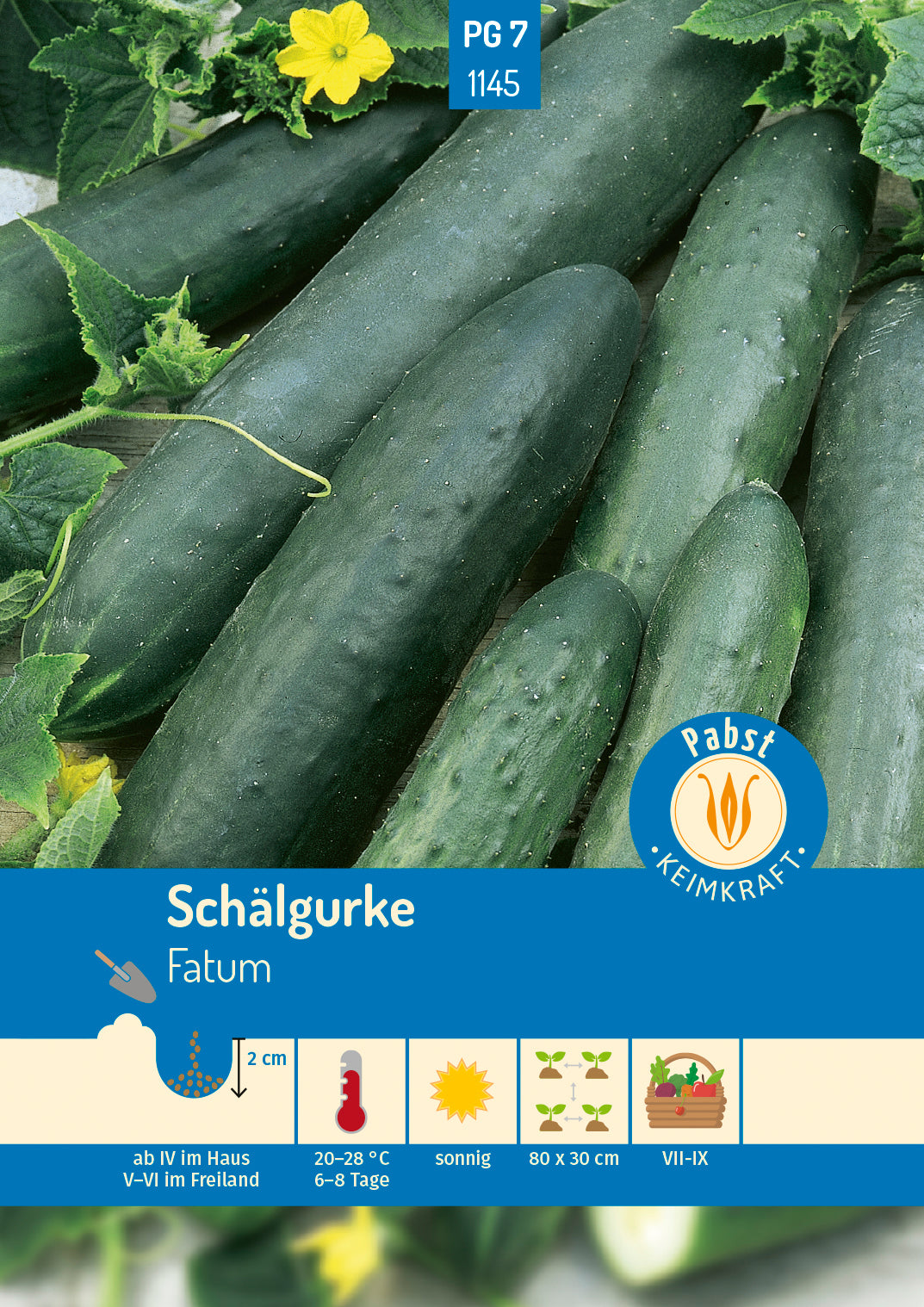 Pabst Keimkraft Salatgurken Fatum