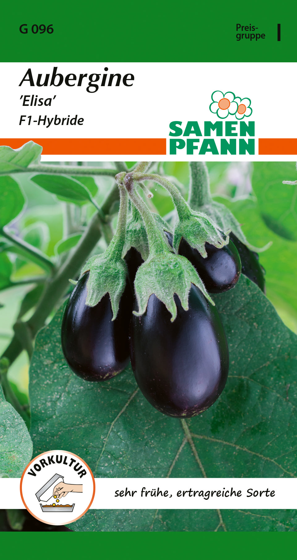 Samen Pfann Aubergine Elisa