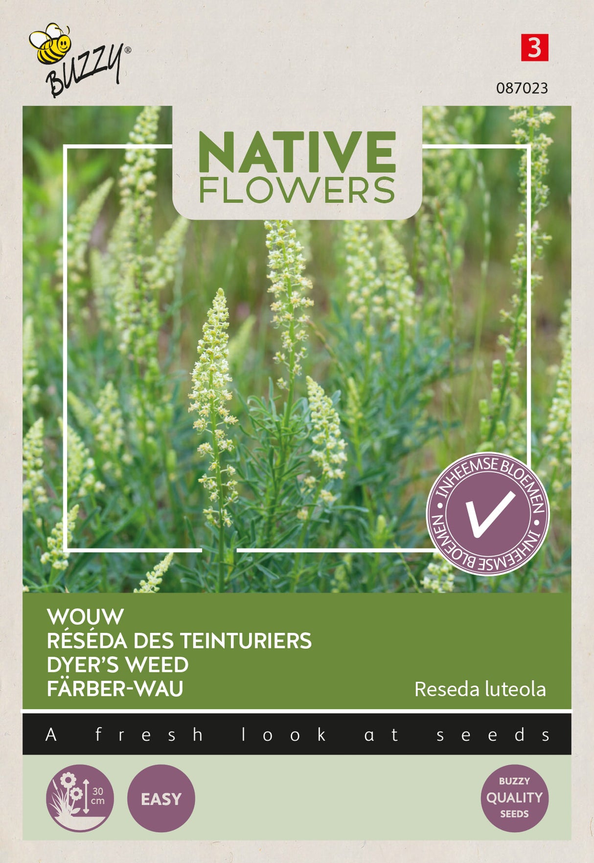 Buzzy Seeds Reseda Färber-Wau