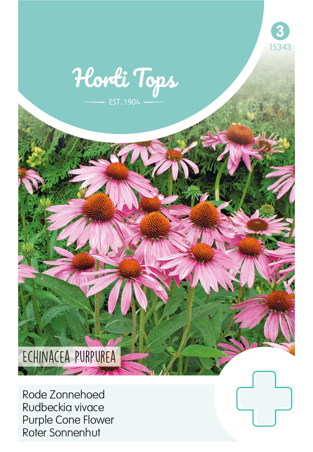 Horti Tops Sonnenhut Purpurea Purpurrosa