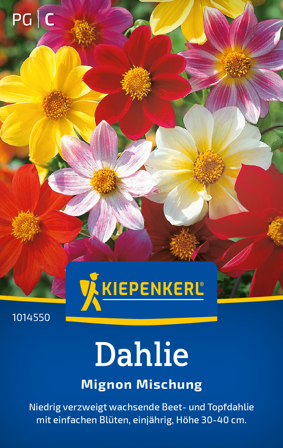 Kiepenkerl Dahlien Mignon Mischung