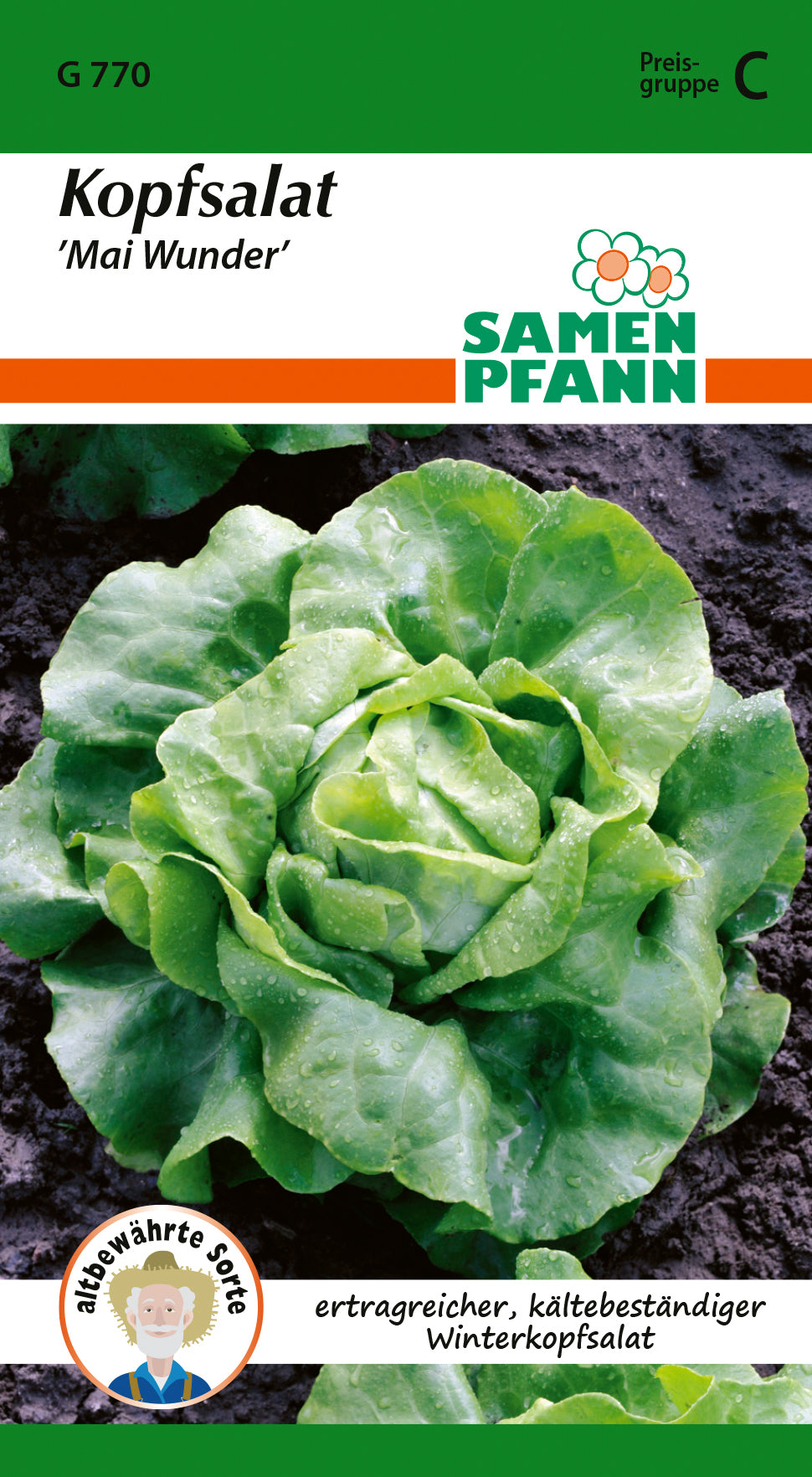 Samen Pfann Kopfsalat Mai Wunder