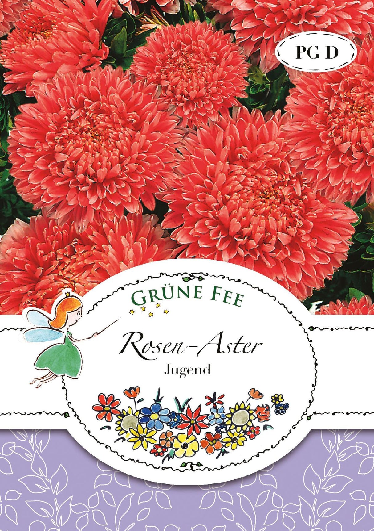 Grüne Fee Rosen-Aster Jugend