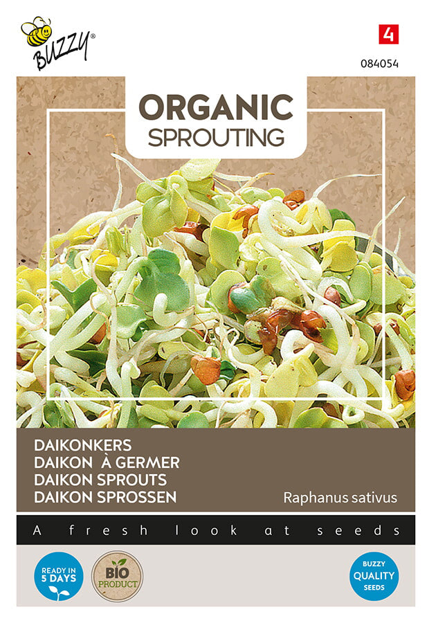 Buzzy Seeds BIO Keimsprossen Rettich, Daikon