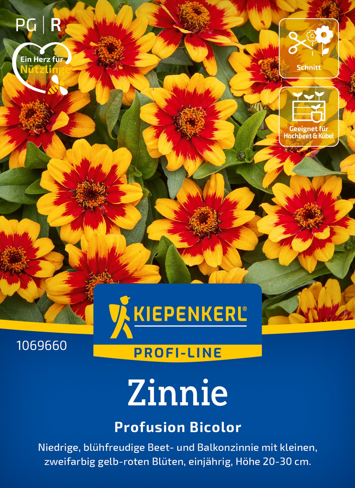 Kiepenkerl Zinnien Profusion Bicolor