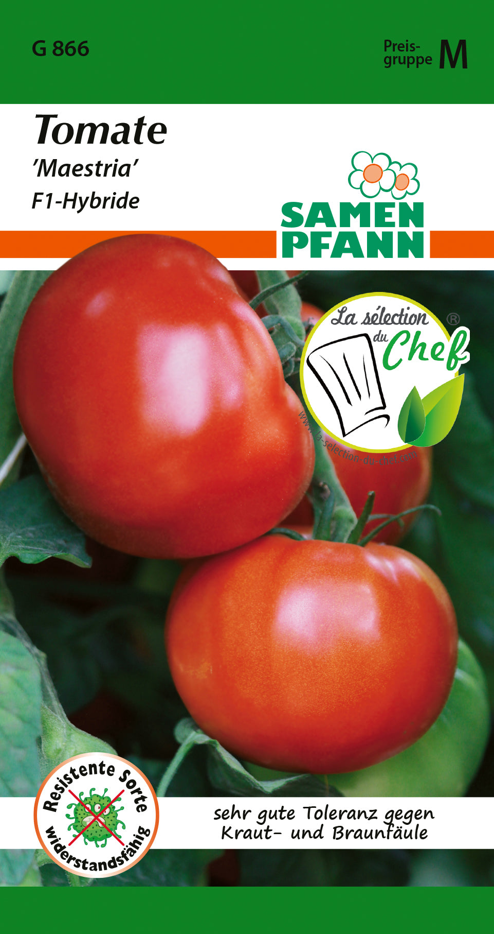 Samen Pfann Tomate Maestria