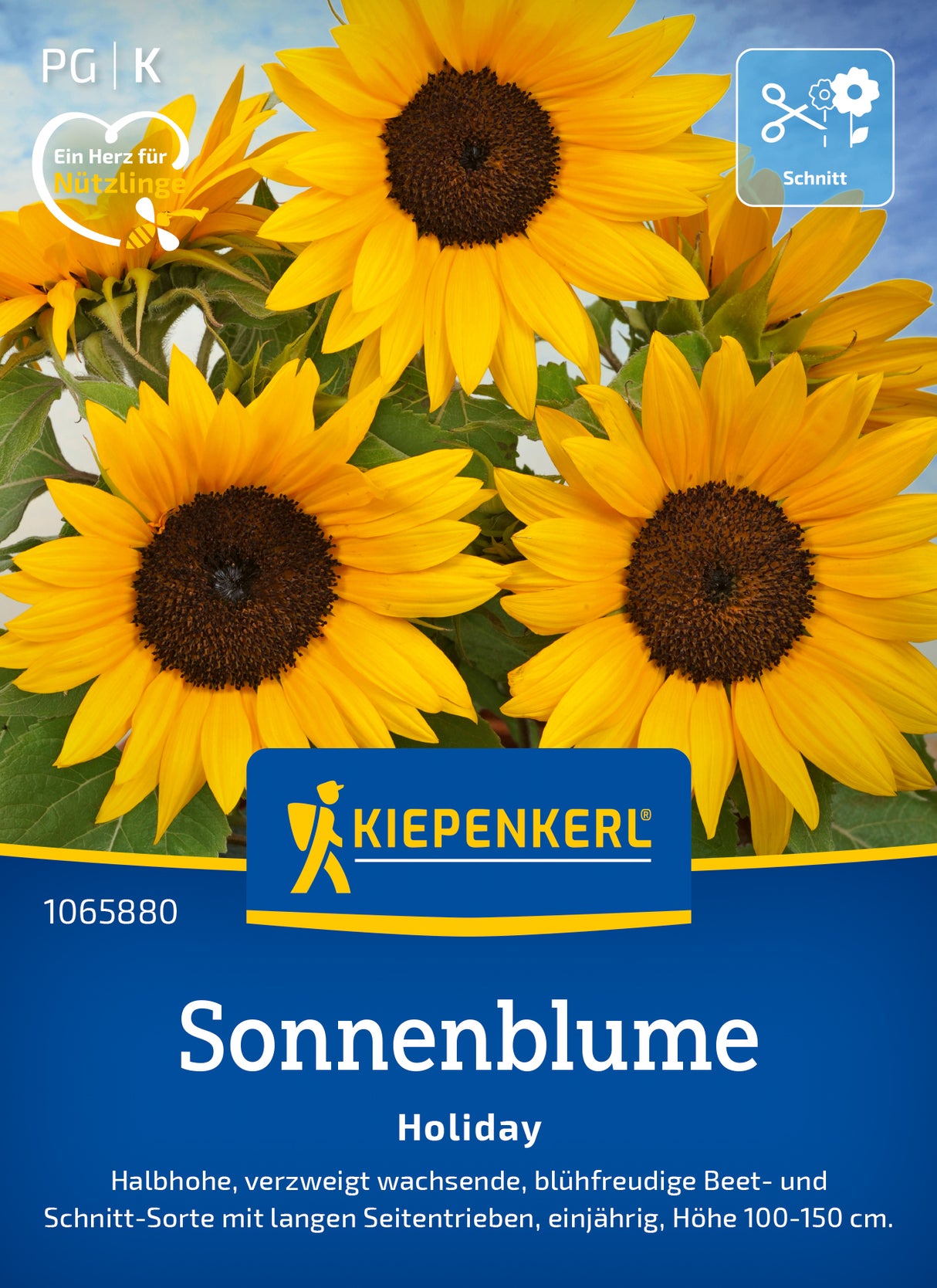 Kiepenkerl Sonnenblumen Holiday