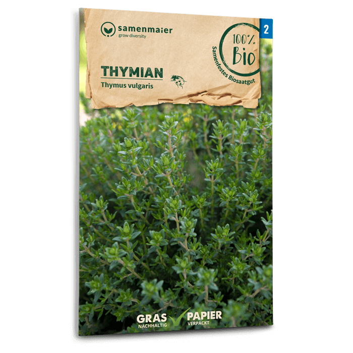 Samen Maier BIO Thymian