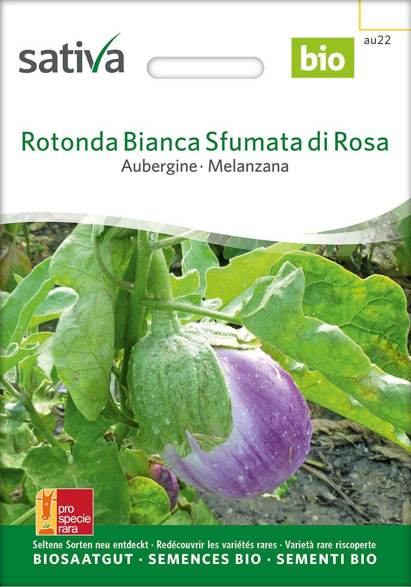 Sativa Aubergine Rotonda Bianca Sfumata di Rosa