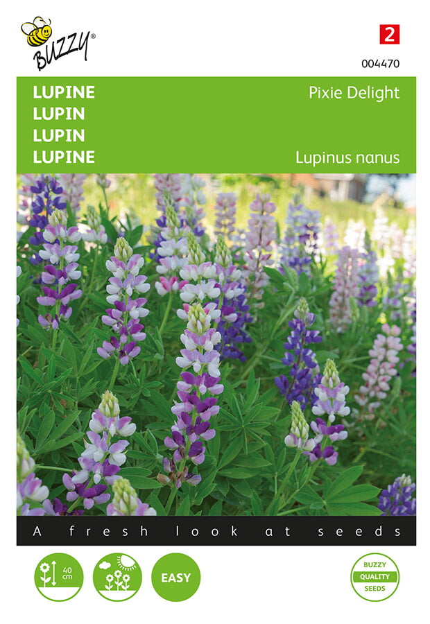 Buzzy Seeds Lupinen Pixie Delight Mischung