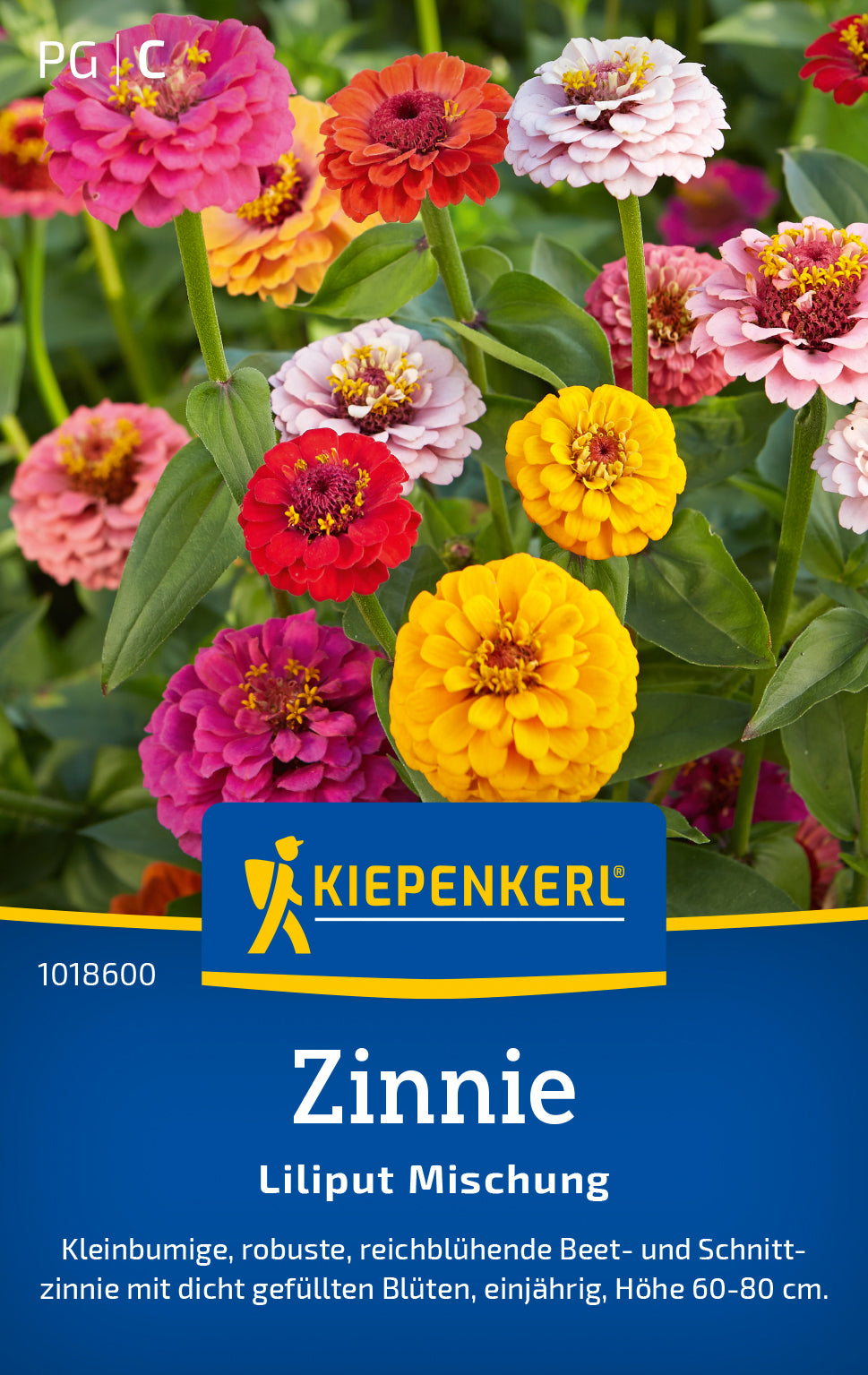 Kiepenkerl Zinnien Liliput Mischung
