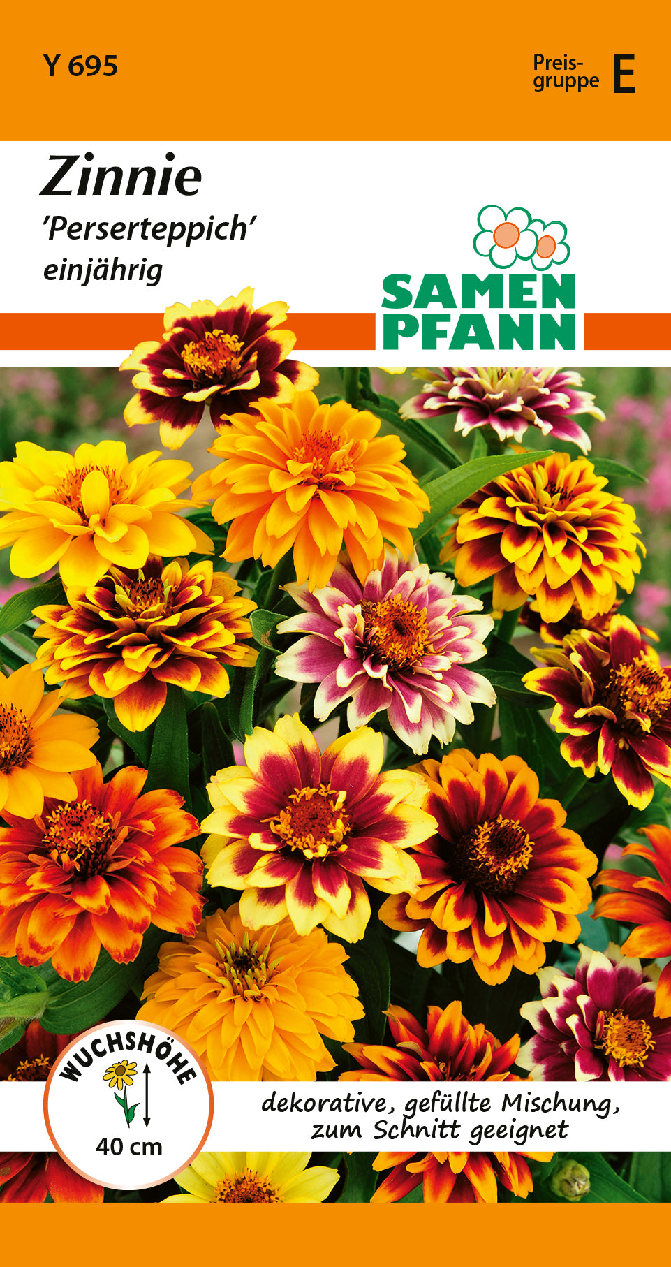 Samen Pfann Perserteppich Zinnien