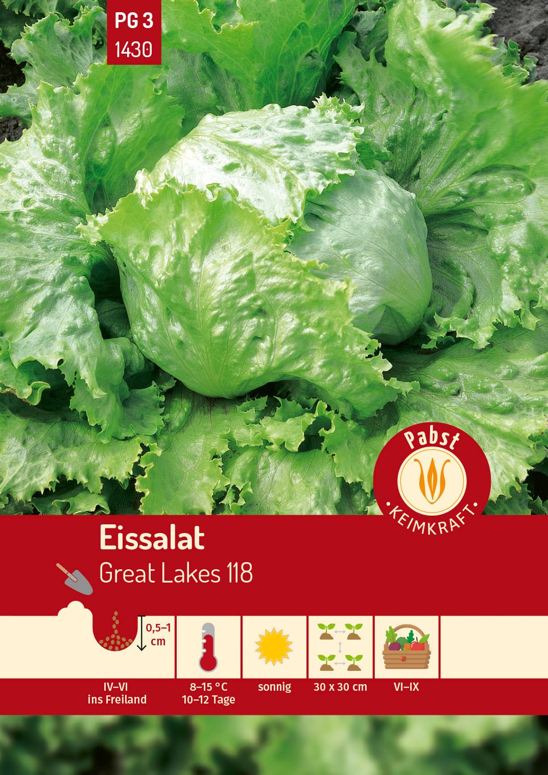 Pabst Keimkraft Eisbergsalat Great Lakes 118