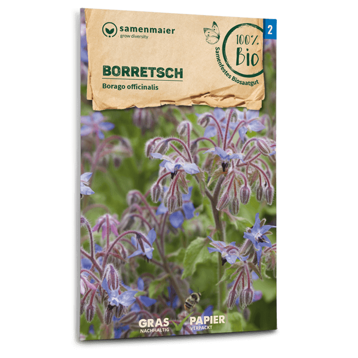 Samen Maier BIO Borretsch