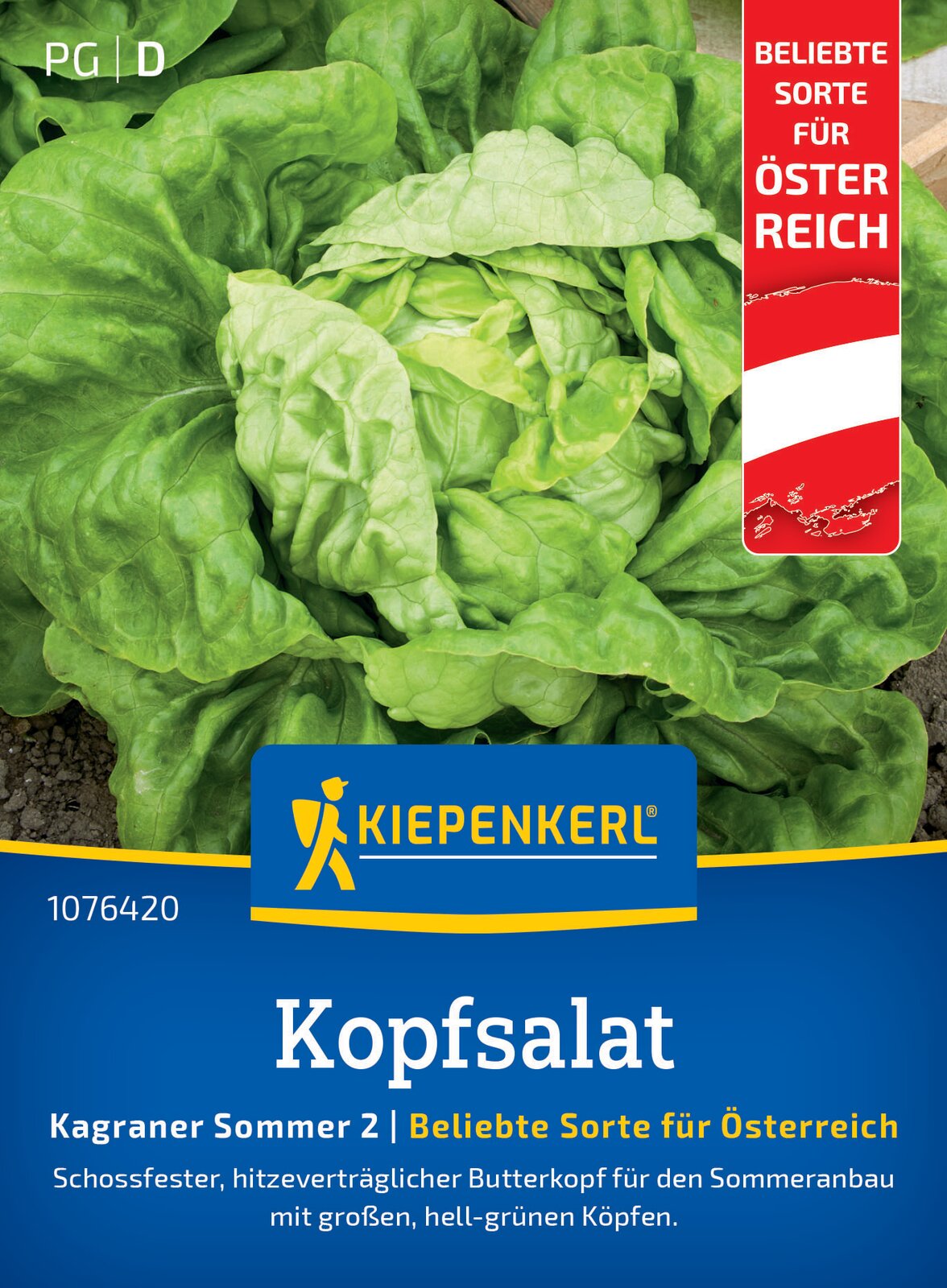 Kiepenkerl Kopfsalat Kagraner Sommer 2 Österreich Sorte
