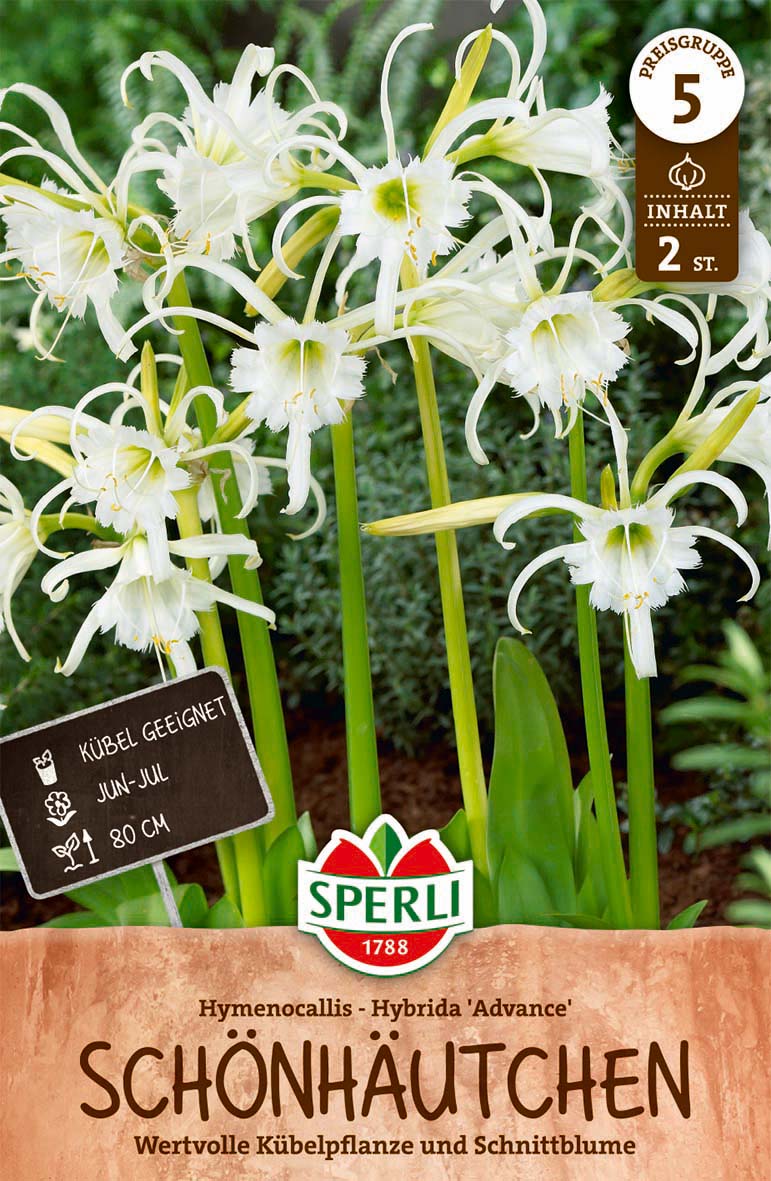 SPERLI Blumenzwiebeln Advance