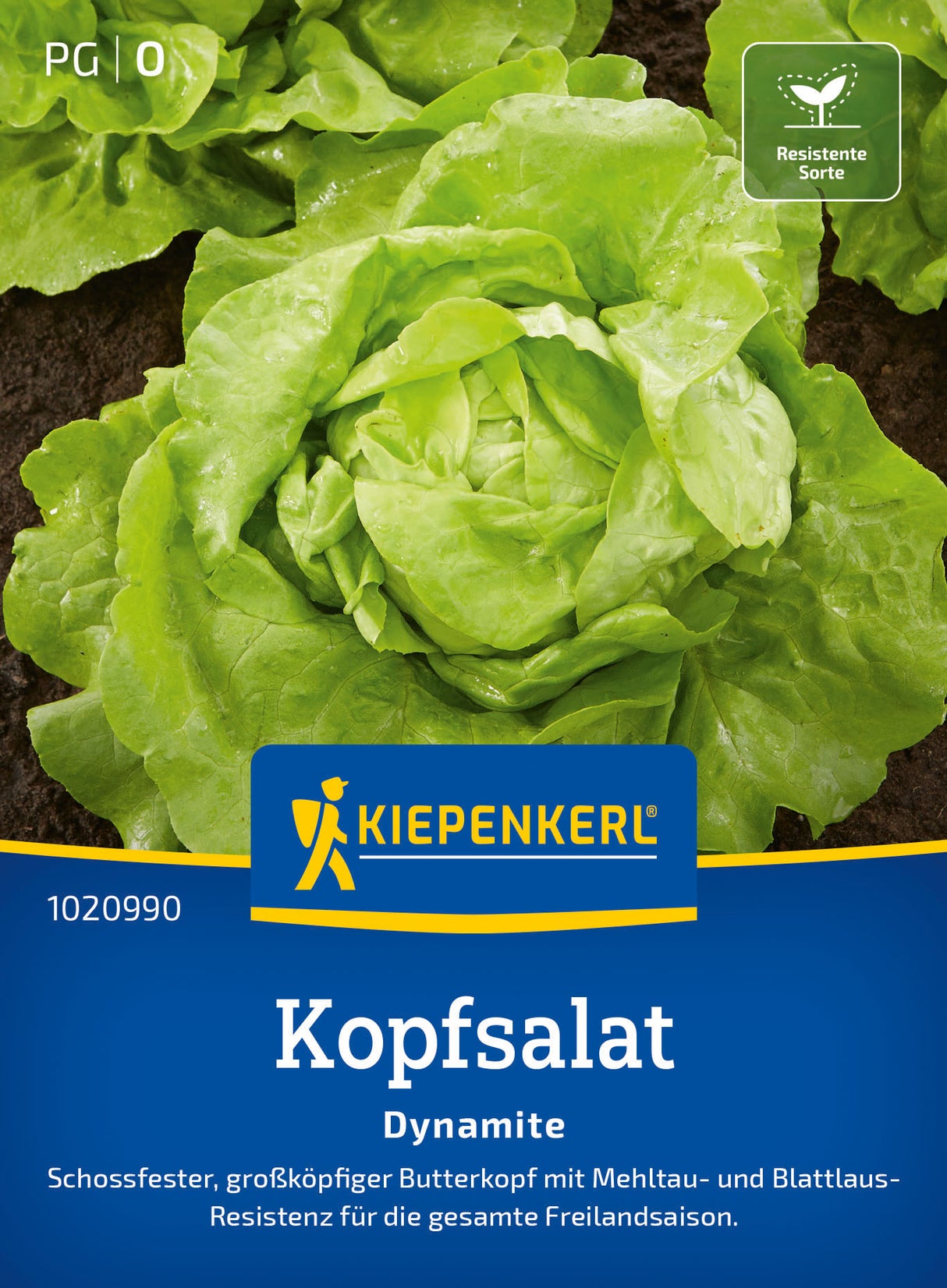 Kiepenkerl Kopfsalat Dynamite