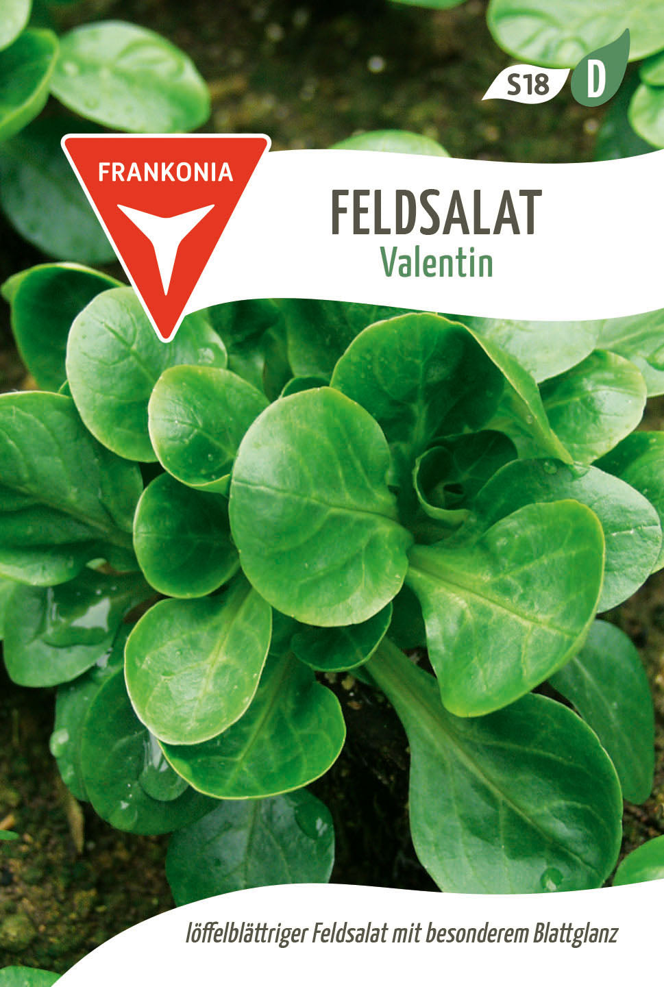Frankonia Samen Feldsalat Valentin
