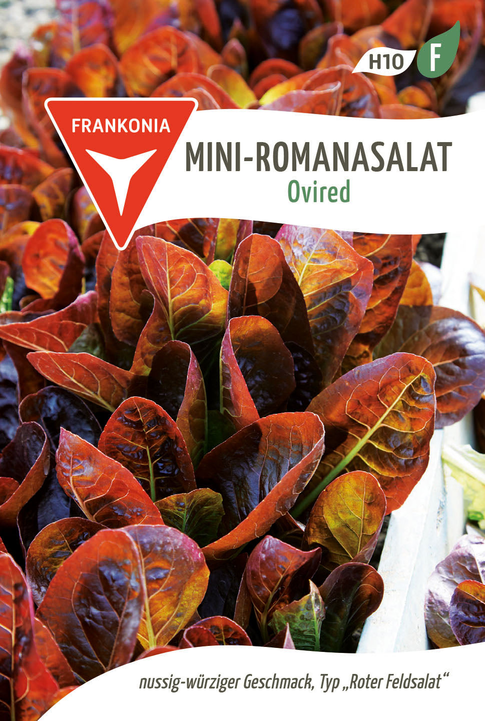 Frankonia Samen Römersalat Ovired