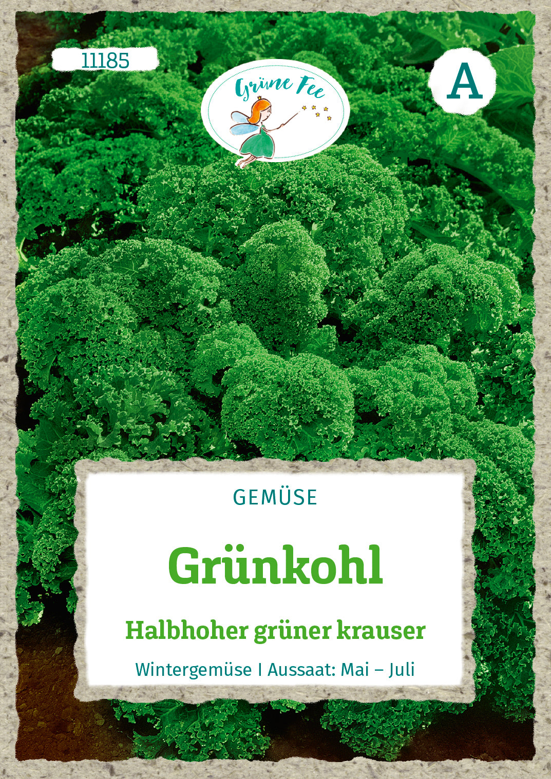 Grüne Fee Grünkohl Halbhoher grüner krauser