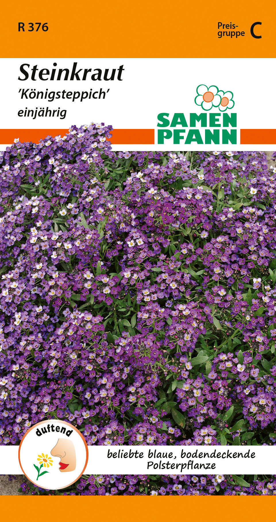 Samen Pfann Steinkraut Königsteppich einjährig