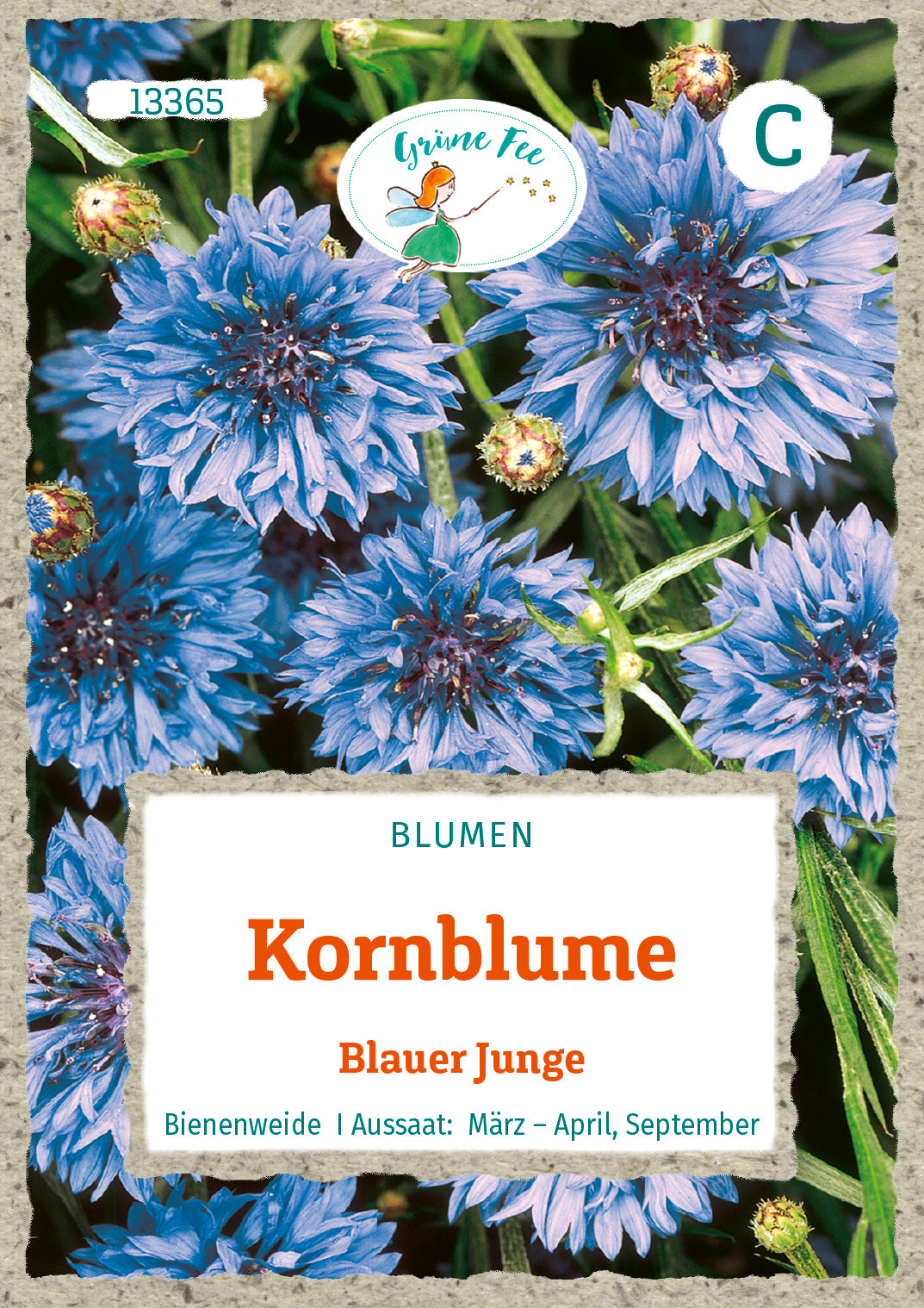 Grüne Fee Kornblumen Blauer Junge