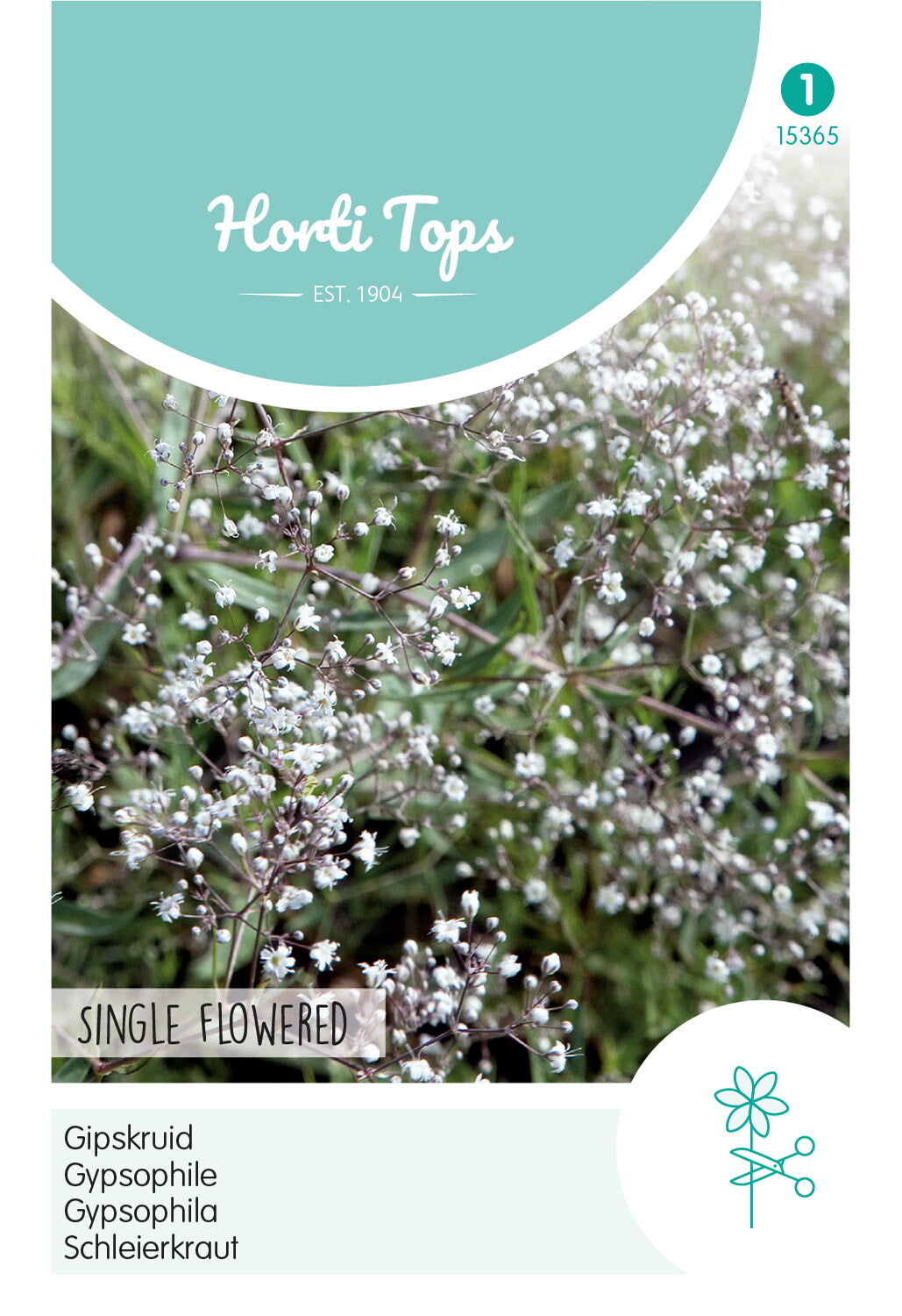 Horti Tops Schleierkraut Paniculata Einfach Weiß