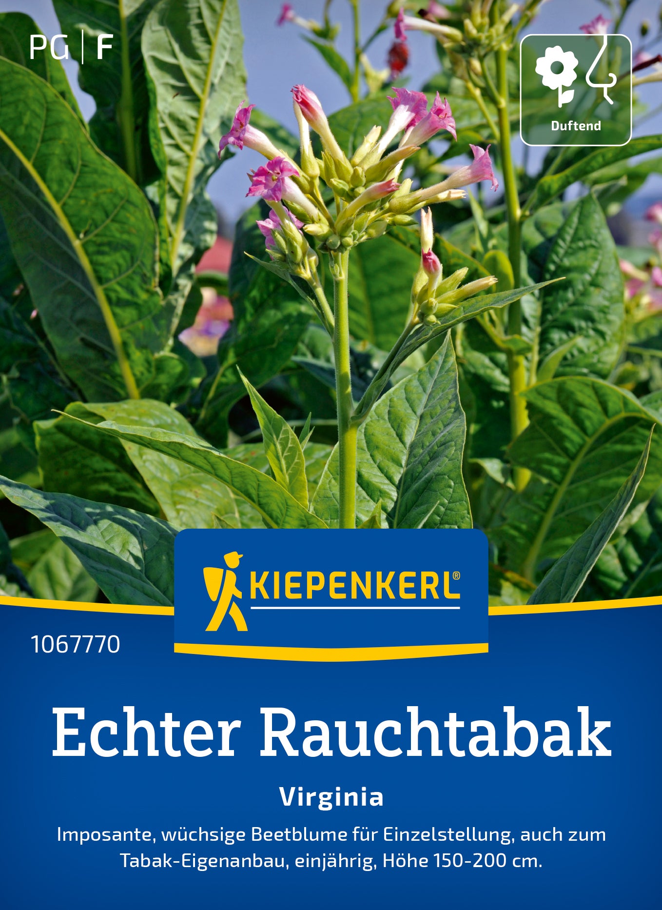 Kiepenkerl Echter-rauchtabak Virginia