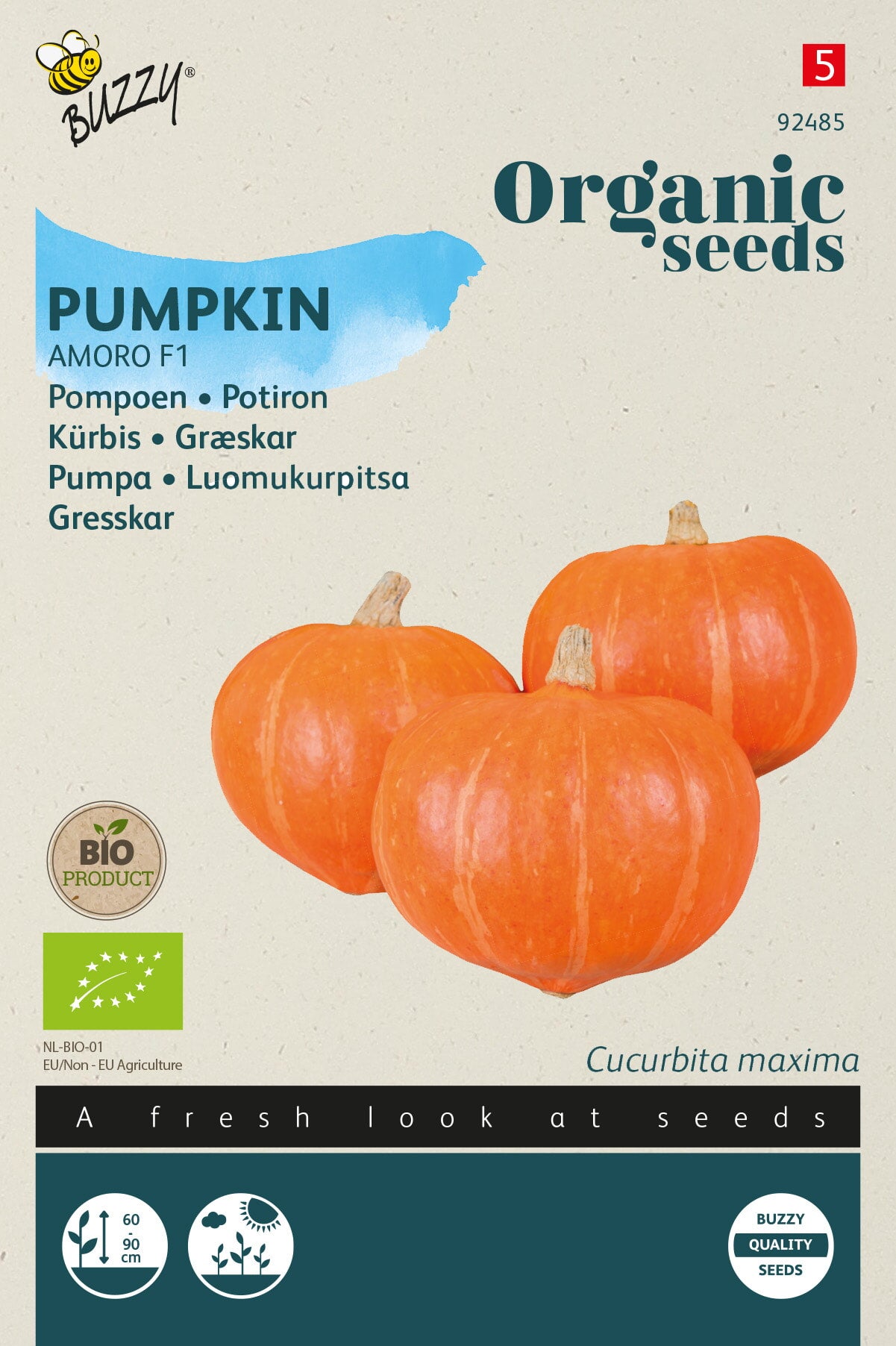 Buzzy Organic Seeds BIO Kürbis Amoro