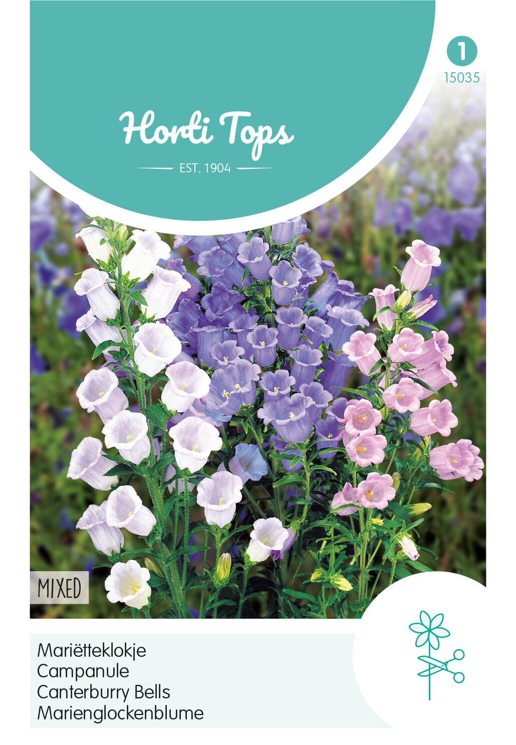 Horti Tops Glockenblume Medium Einfache Mischung
