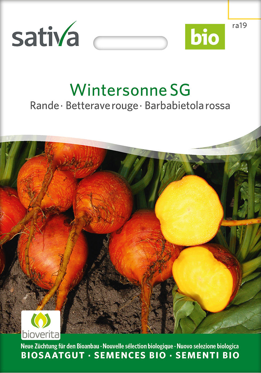 Sativa Rande Wintersonne SG