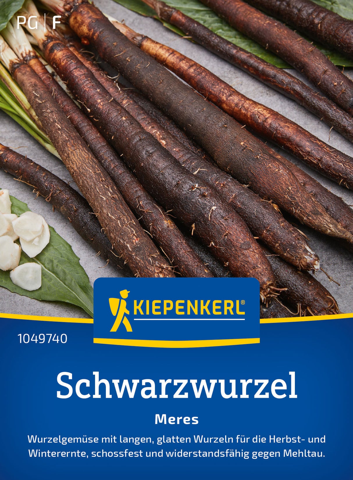 Kiepenkerl Schwarzwurzel Meres