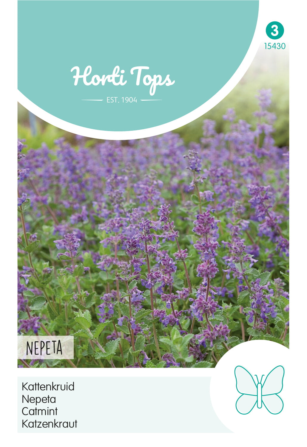 Horti Tops Katzenminze Faassenii