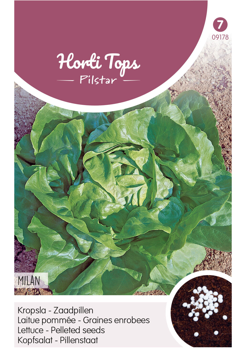 Horti Tops Kopfsalat  Pillenstaat