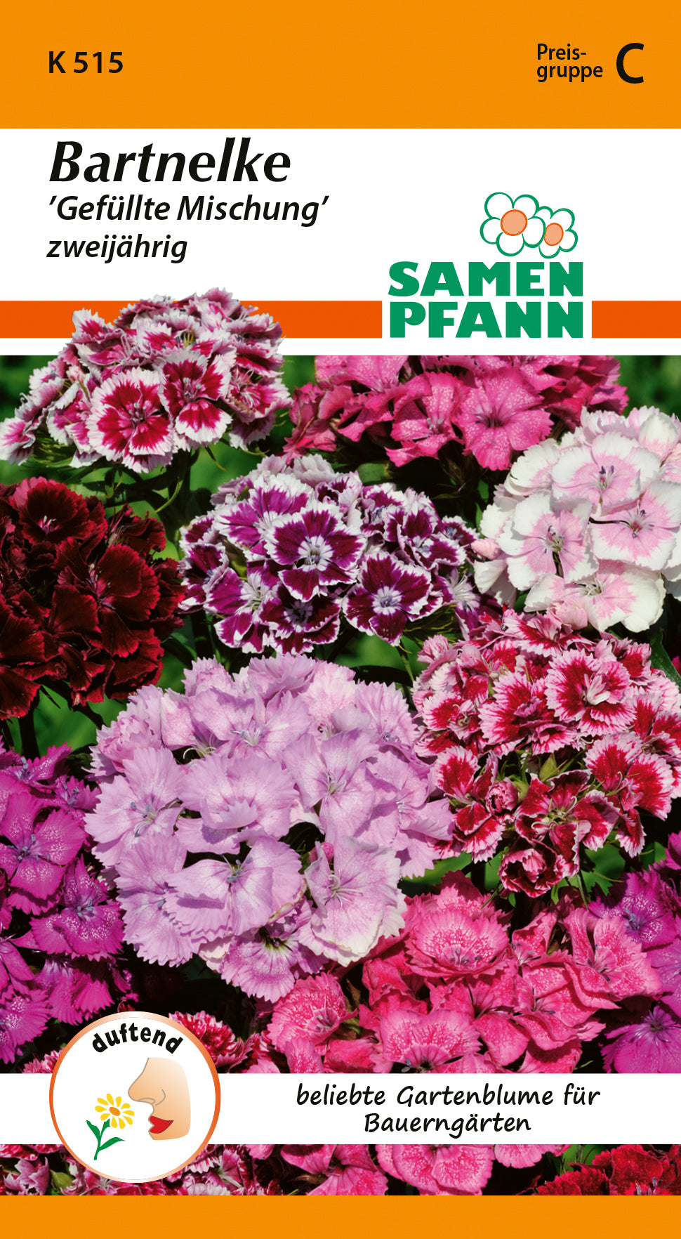 Samen Pfann Bartnelke Gefüllte Mischung zweijährig