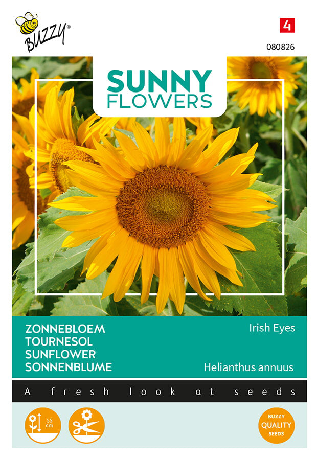 Buzzy Seeds Sonnenblume Irish Eyes