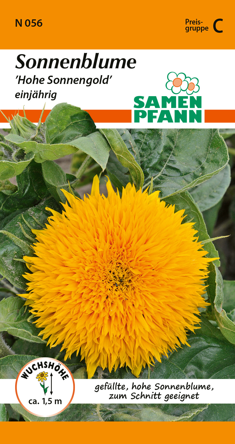 Samen Pfann Hohe Sonnengold Sonnenblumen