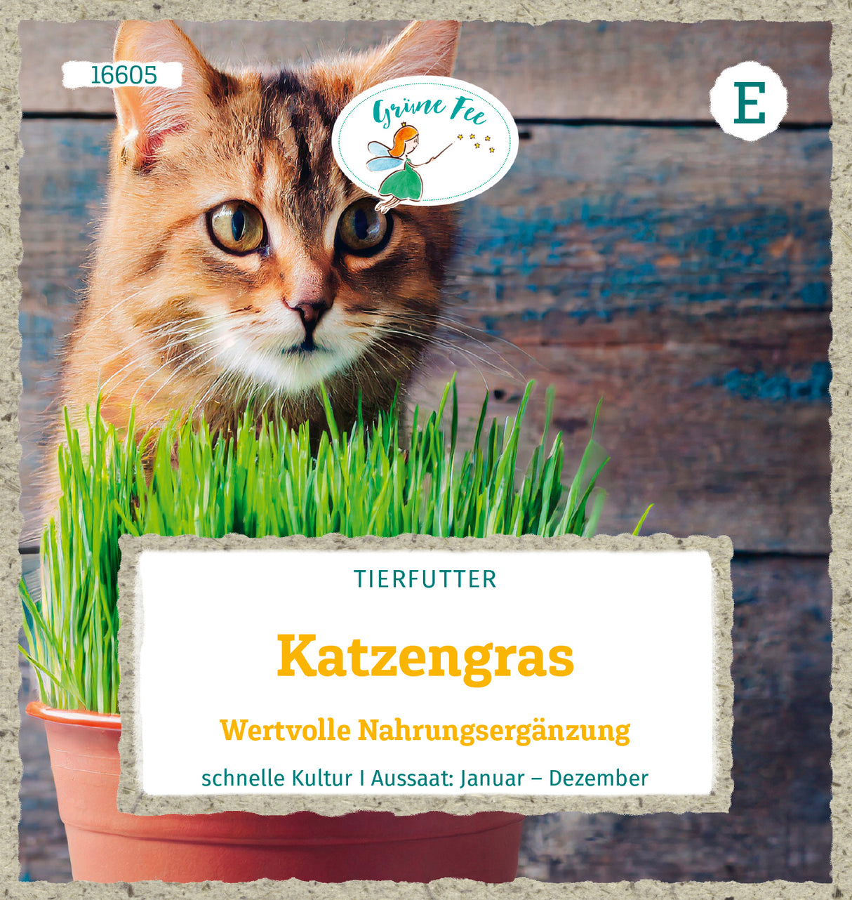 Grüne Fee Katzengras Mini-Tiger-Gras