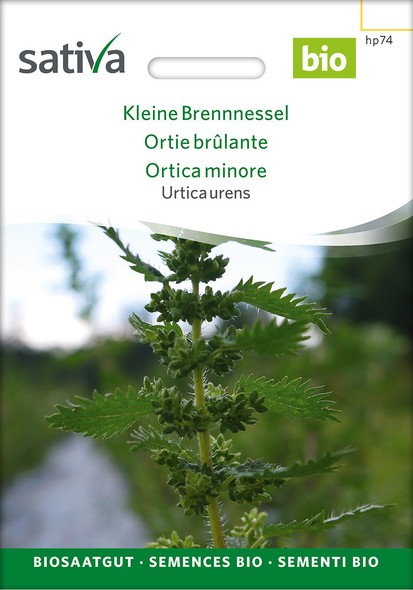 Sativa Urtica urens Kleine Brennnessel