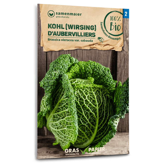 Samen Maier BIO Wirsing D'Aubervilliers