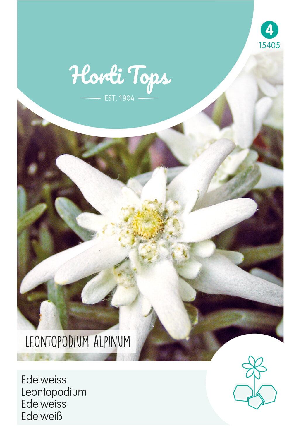 Horti Tops Edelweiß Alpinum