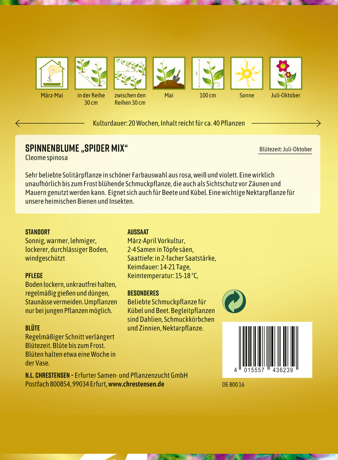 N.L. Chrestensen Spinnenblume Spider Mix
