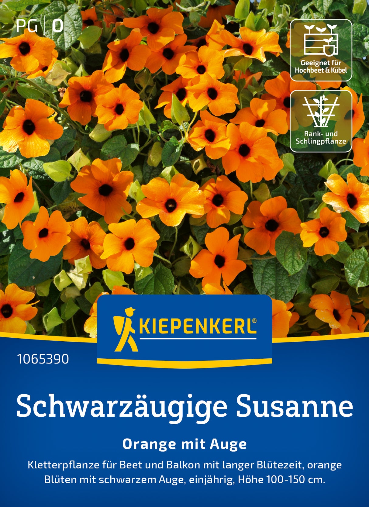 Kiepenkerl Schwarzäugige-susanne Orange mit Auge