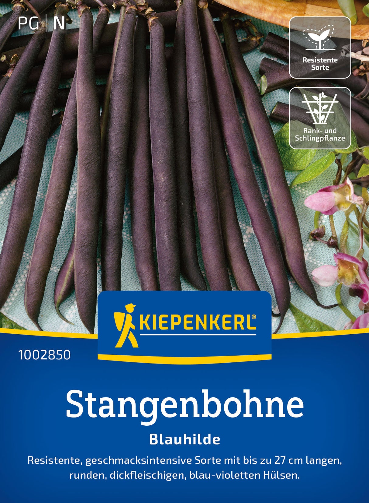 Kiepenkerl Stangenbohnen Blauhilde