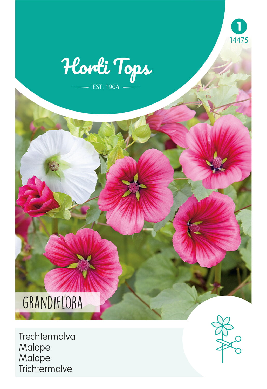Horti Tops Bechermalve Trifida Grandiflora Mischung